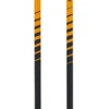 Promo 🌟 BÂTONS Randonnée WANABEE NORDIC 90 X2 😉 22